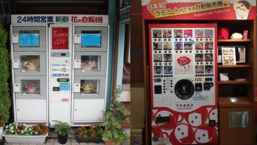 Image - 17 Interesting Vending Machines in Japan You'll Be Surprised to Know Exist