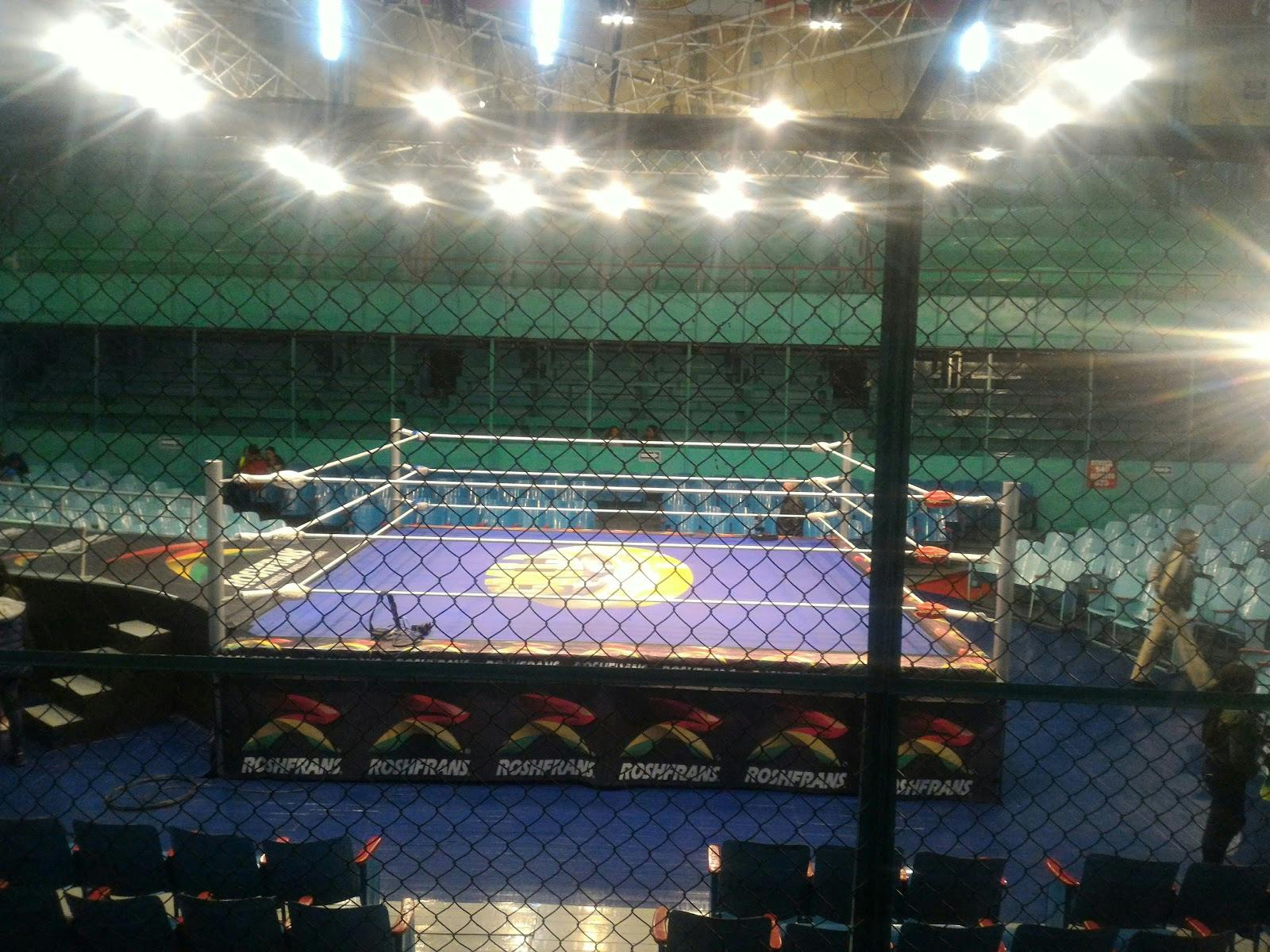 Image - Arena Puebla