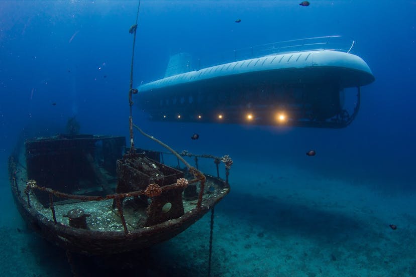 Atlantis Submarines Maui