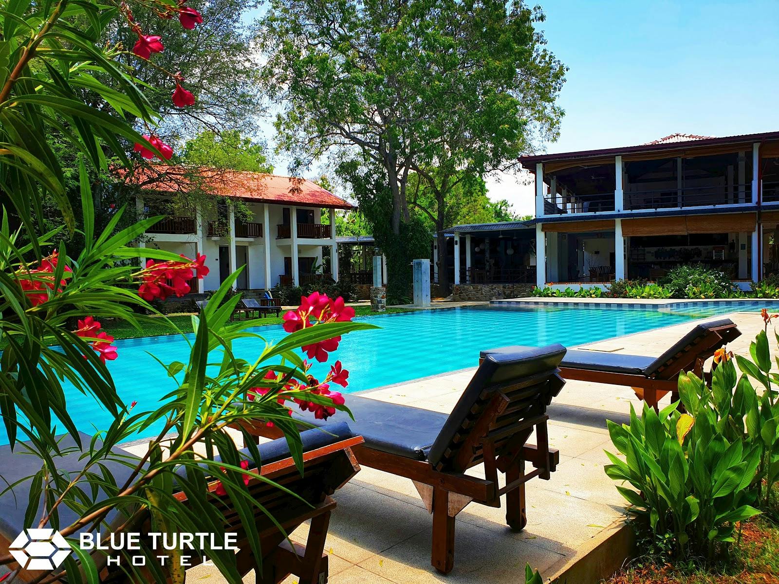 Image - Blue Turtle Hotel