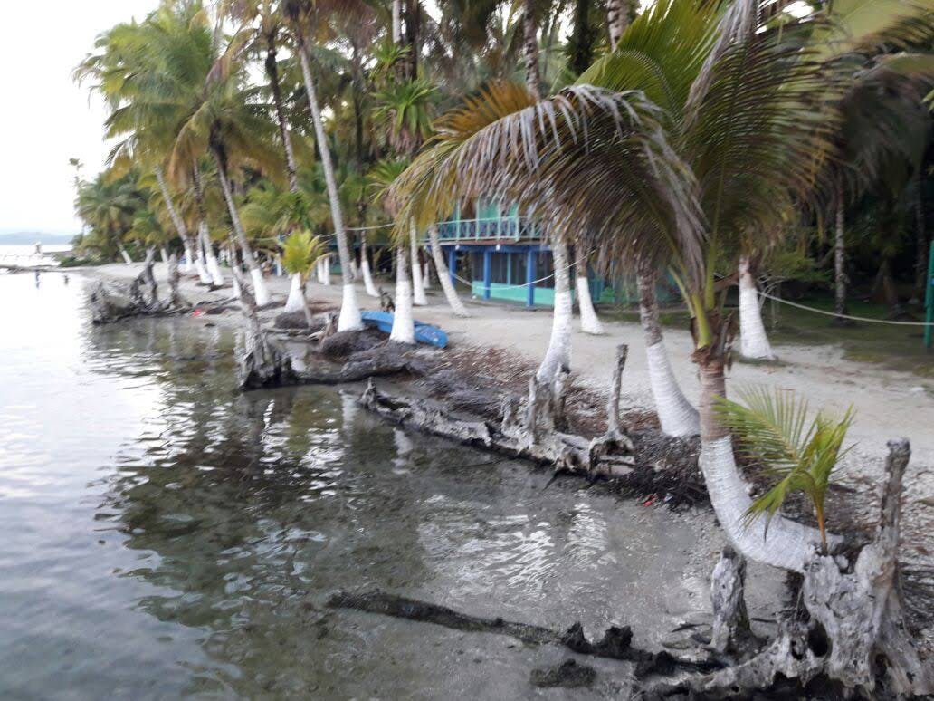 Image - Bocas del Toro Province