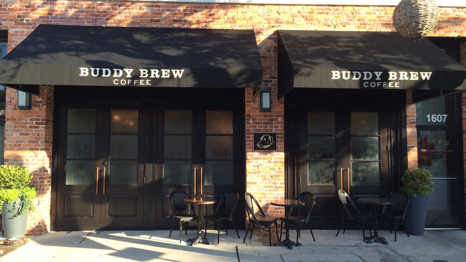 Image - Buddy Brew Coffee - Hyde Park Village