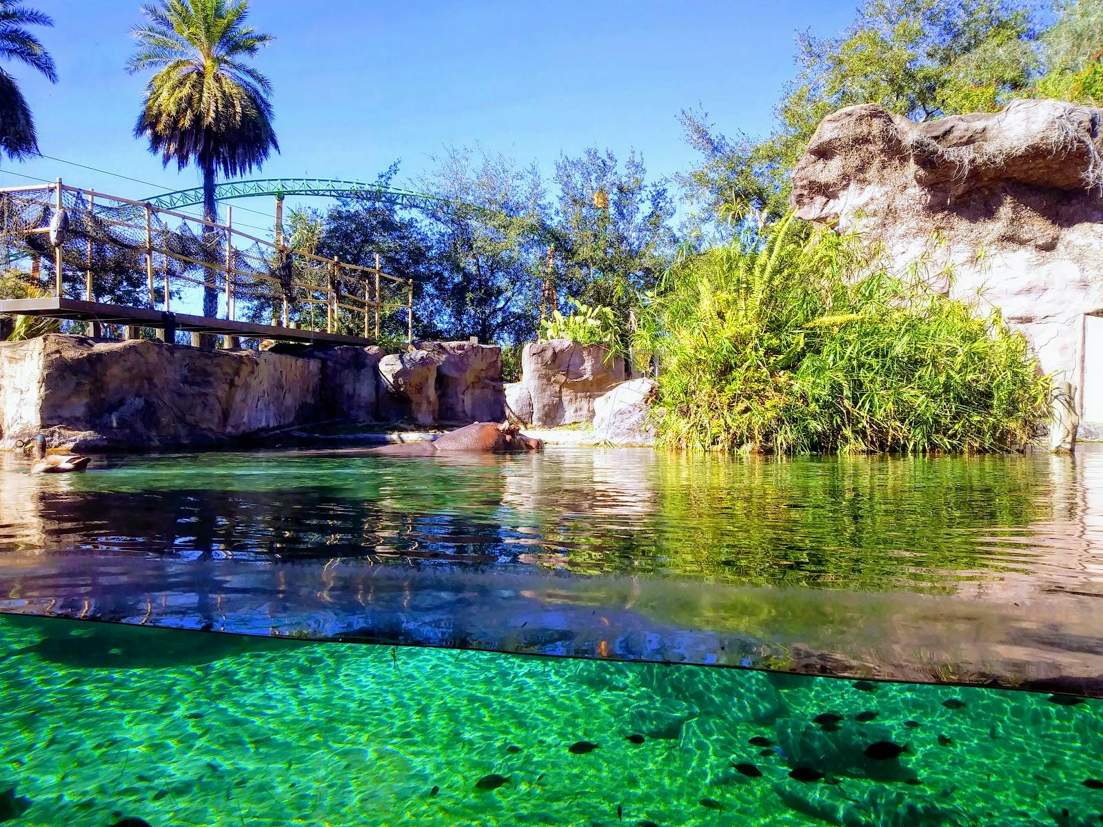 Image - Busch Gardens Tampa Bay