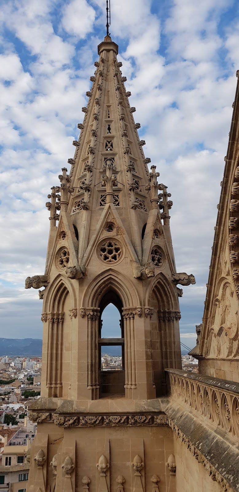 Image - Catedral-Basílica de Santa María de Mallorca