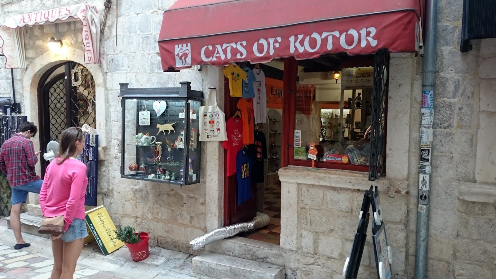 Image - Cats Of Kotor