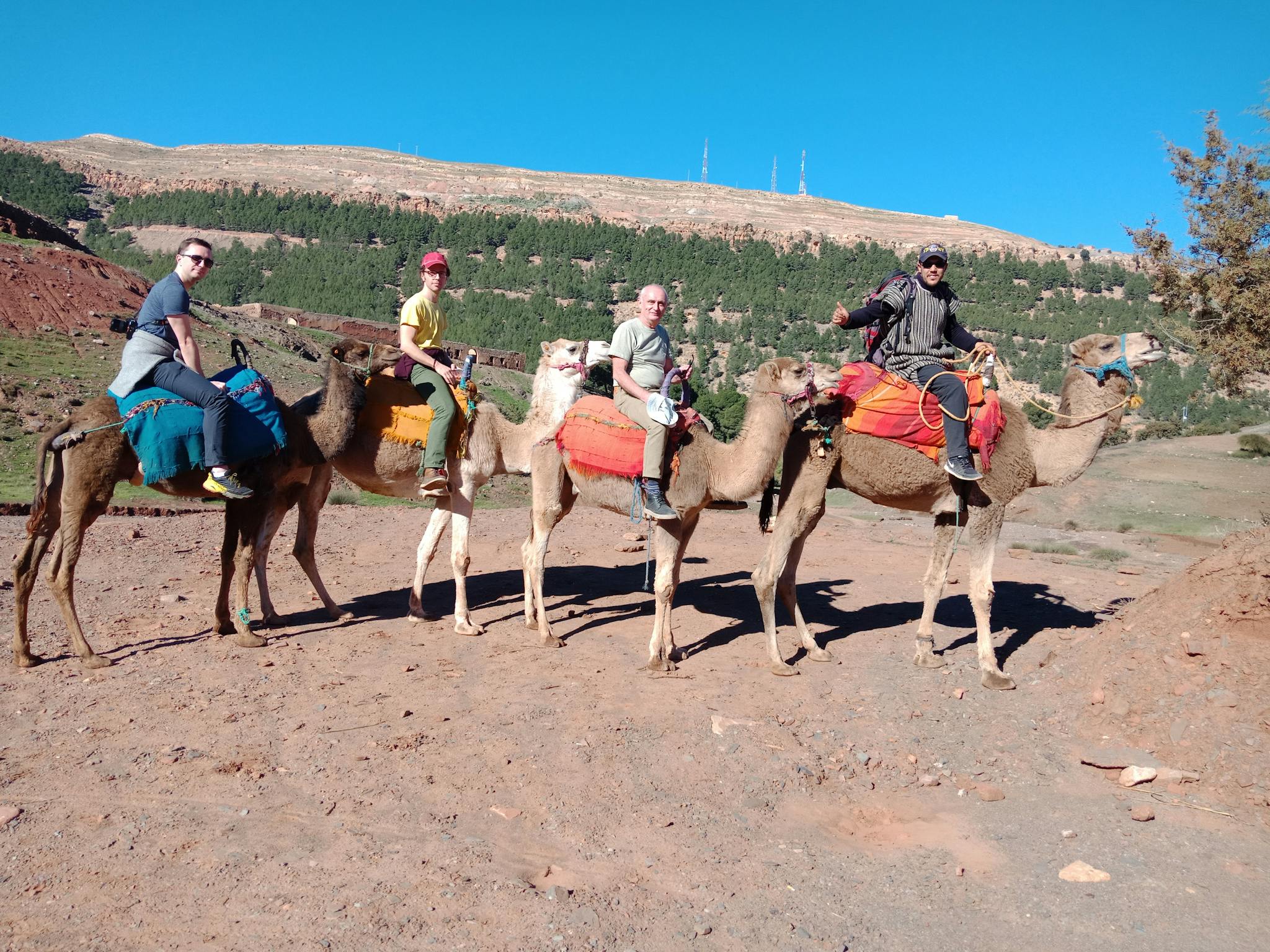 Day trip to the atlas Mount & camel ride