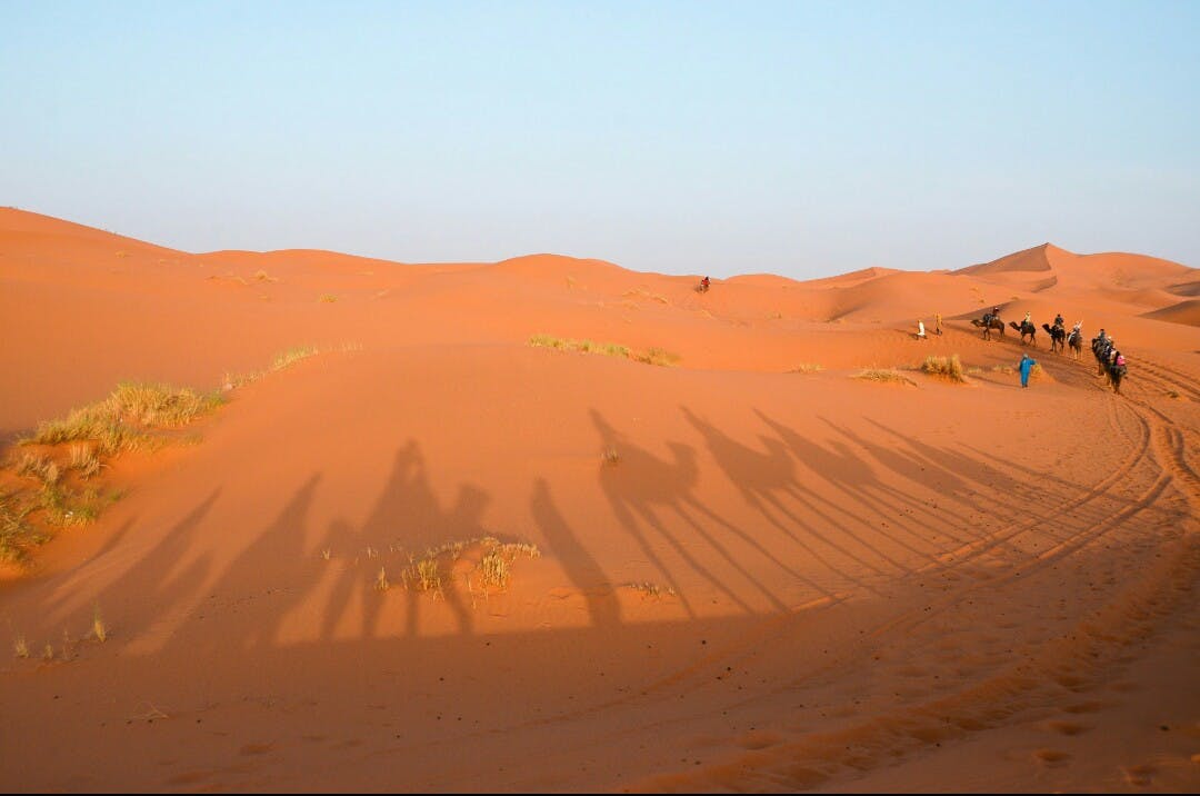 Image - Discover Morocco Tours