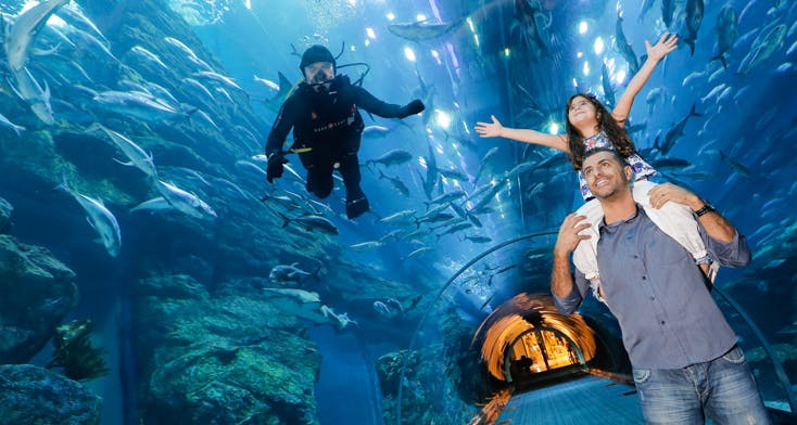 Image - Dubai Aquarium And Under Water Zoo Tickets Online_2680581