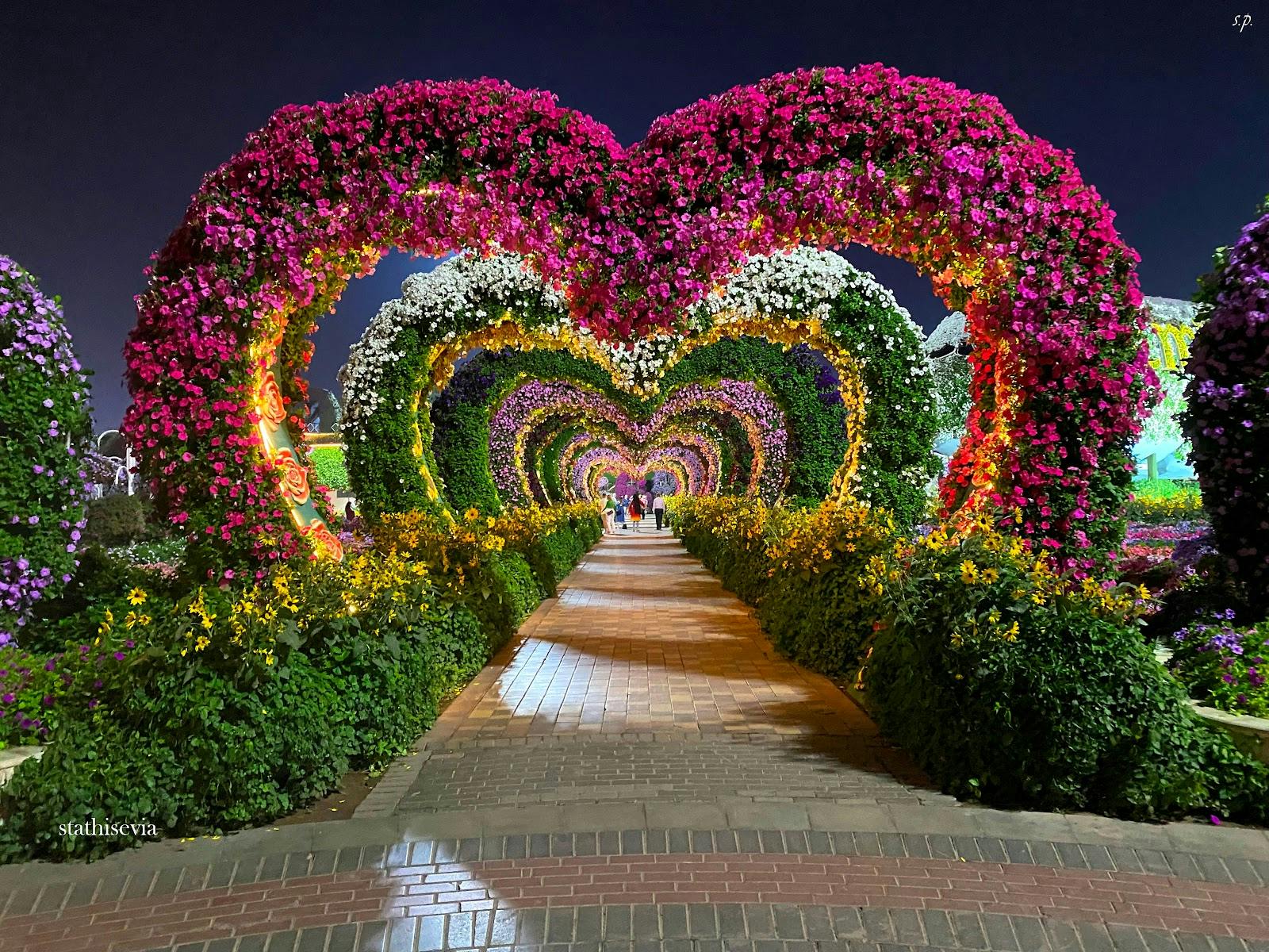 Image - Dubai Miracle Garden