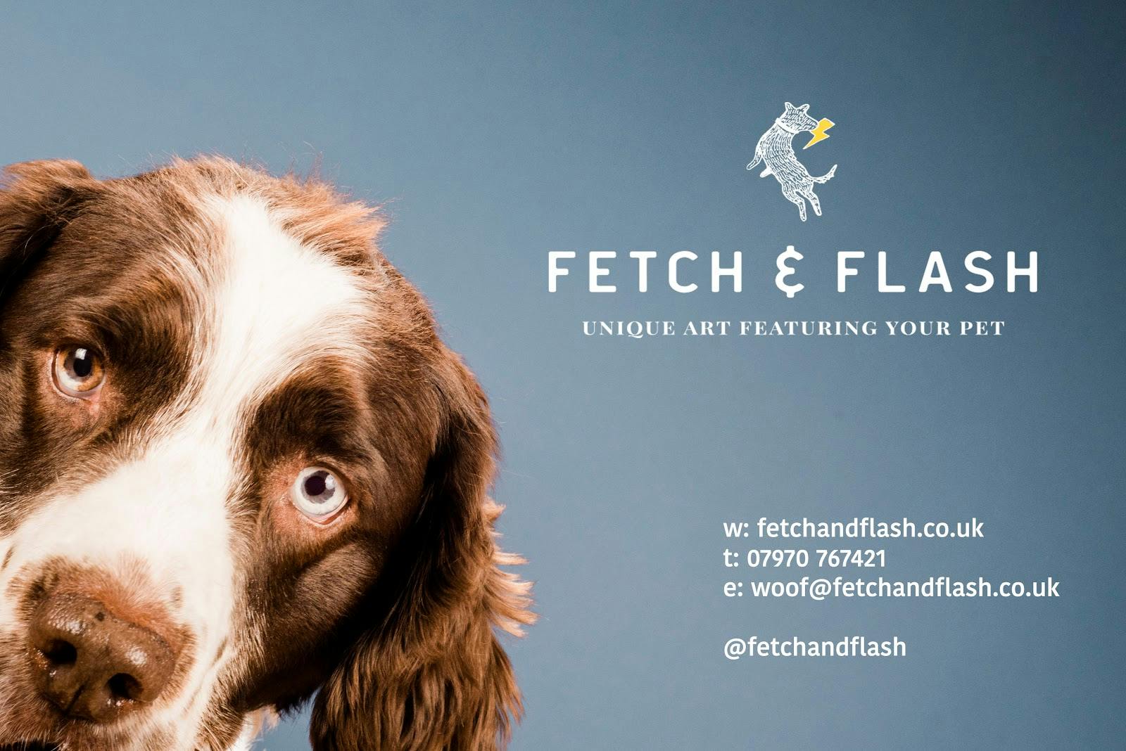 Image - Fetch and Flash Photography