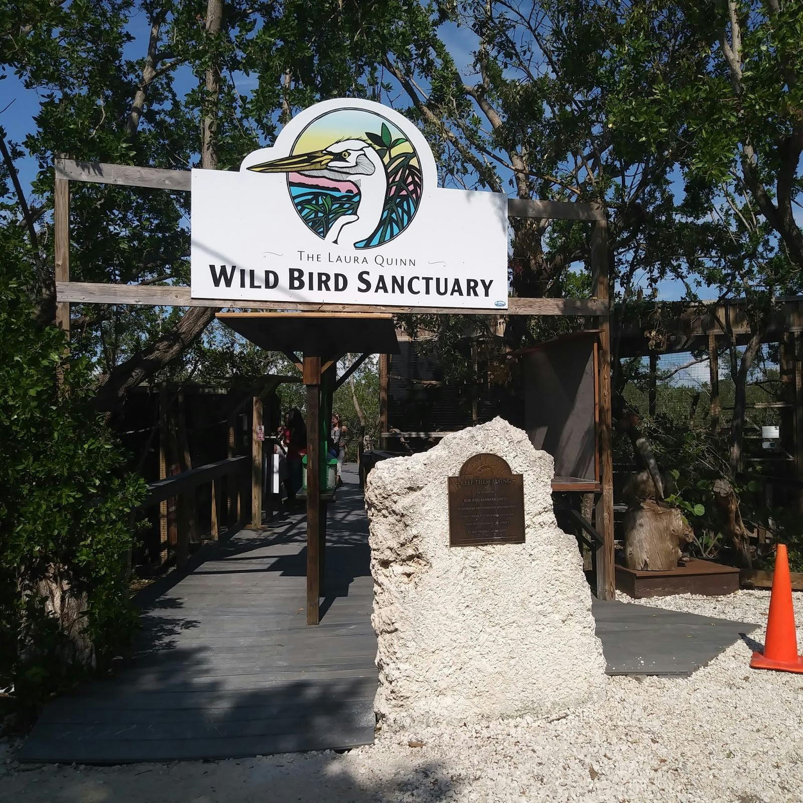 Image - Florida Keys Wild Bird Rehabilitation Center