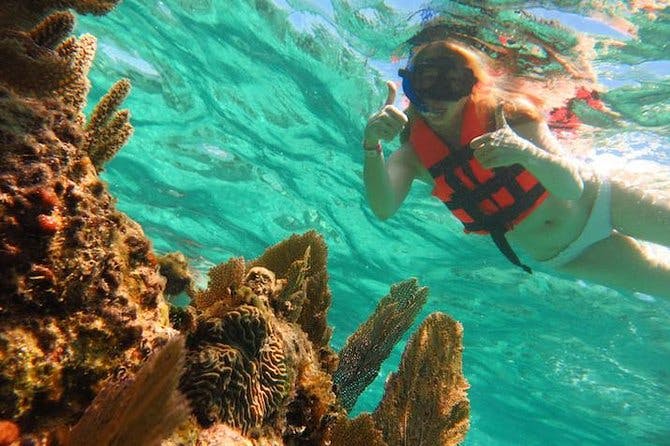 Image - Full-Day Snorkeling Adventure From Cancun And Riviera Maya_251164