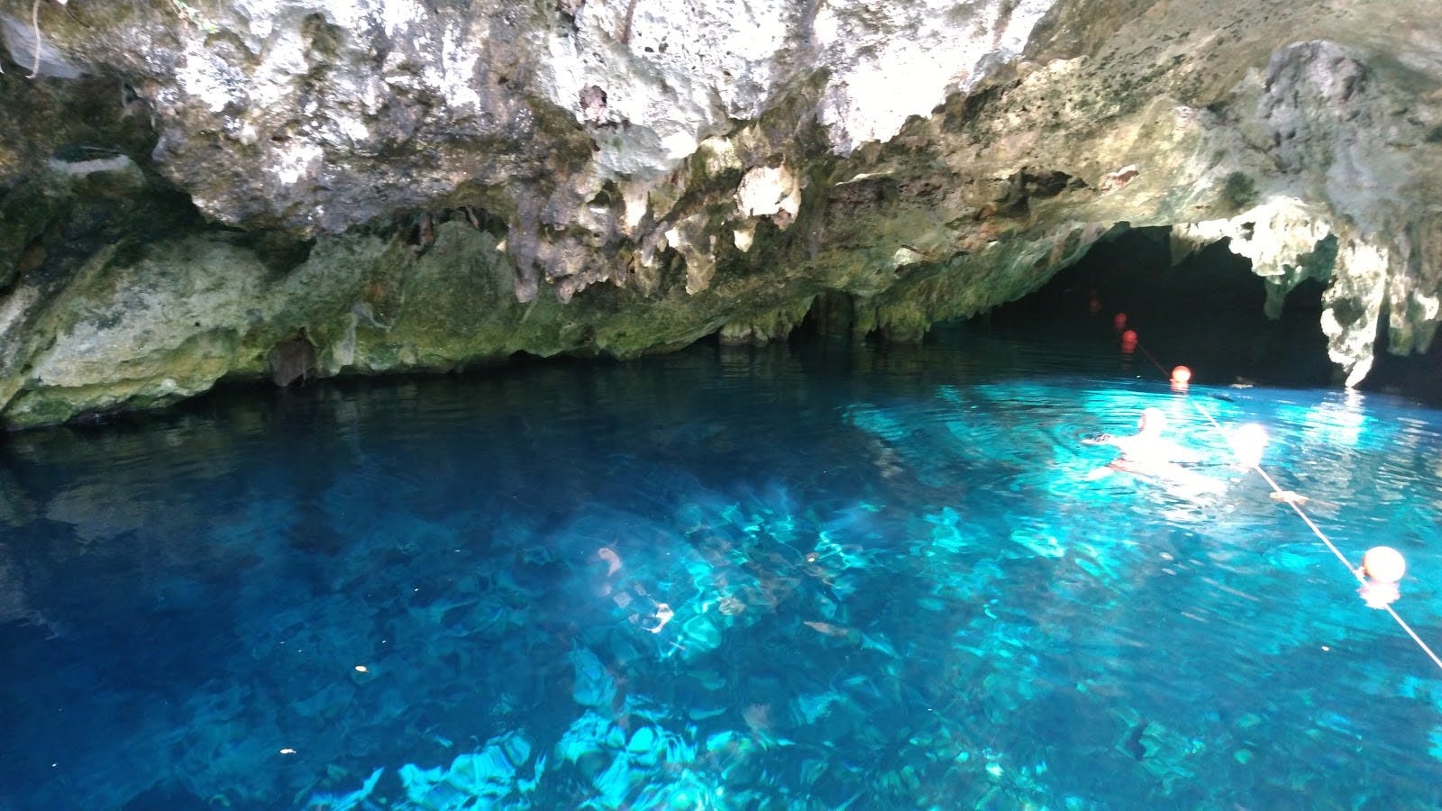 Image - Gran Cenote