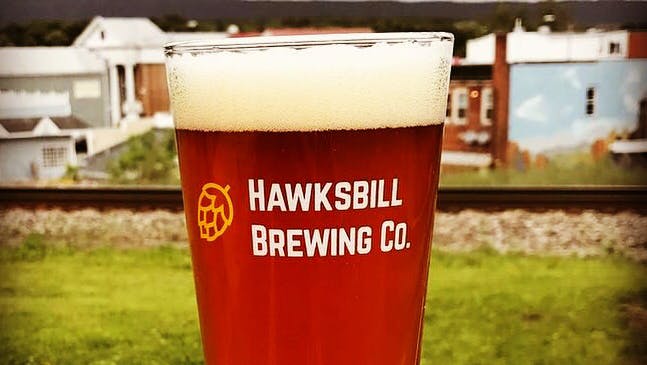 Image - Hawksbill Brewing Company