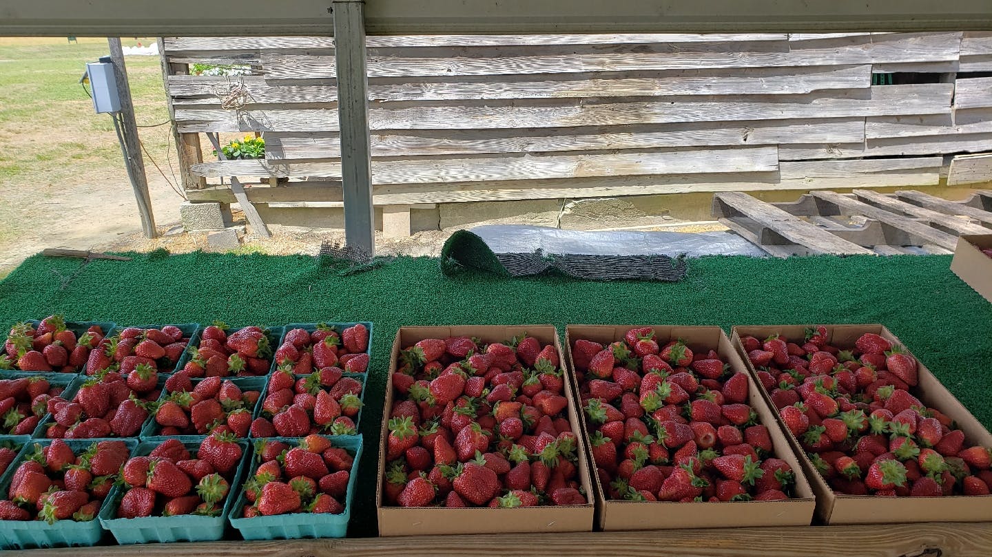 Image - Homeplace Strawberries and More