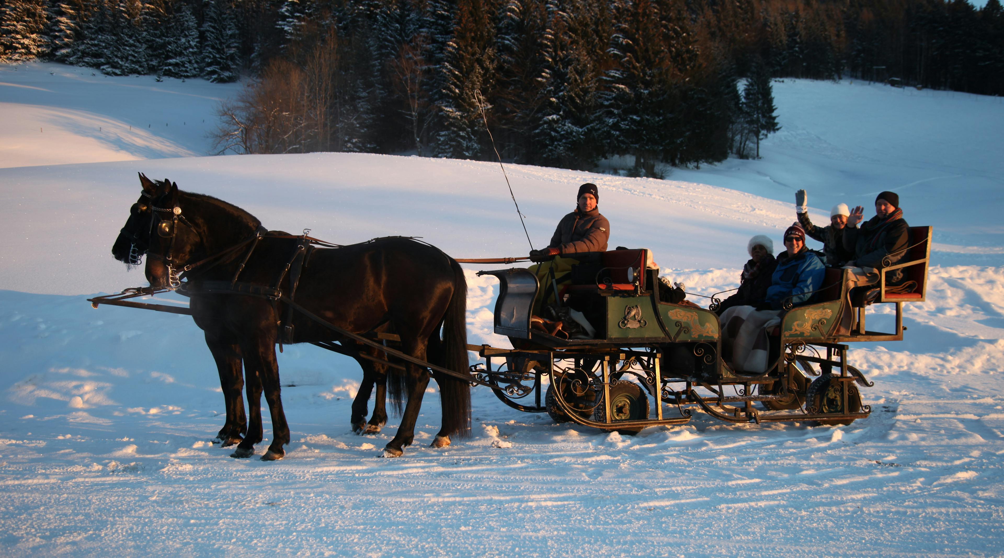 Image - Horse Drawn Sleigh Ride - Private Half-Day Tour_602221