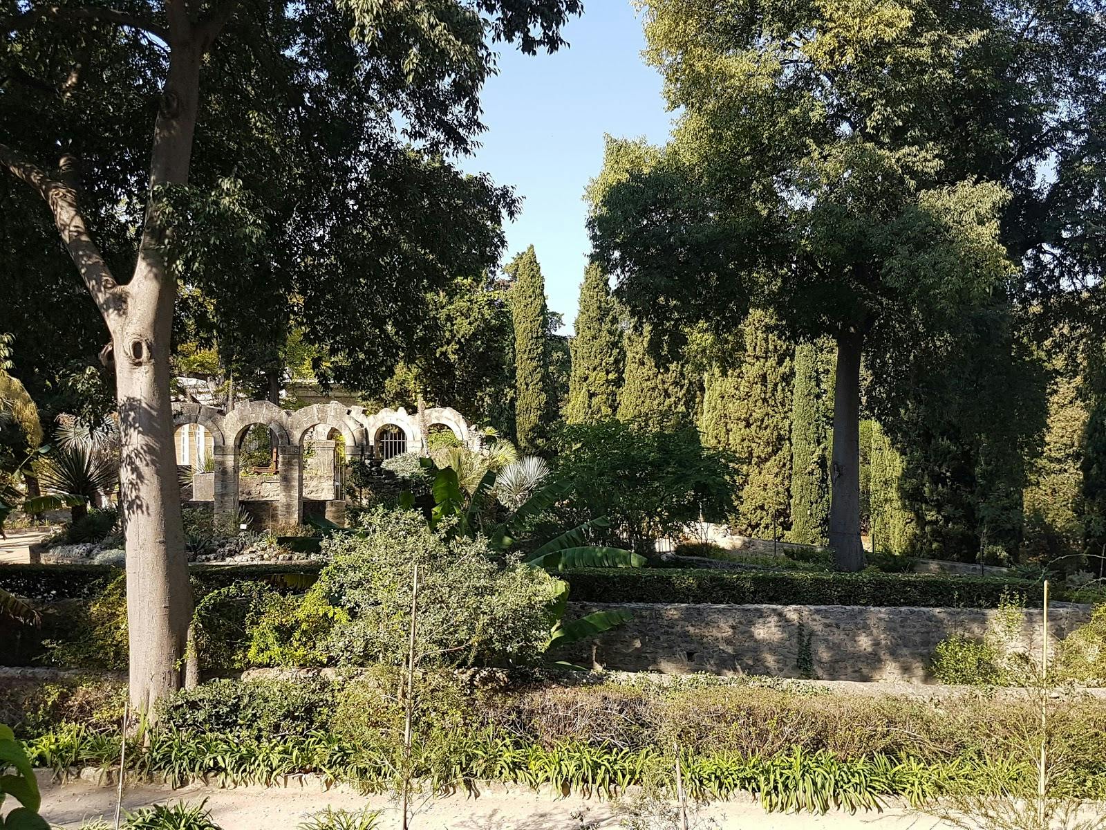 Image - Jardin des plantes de Montpellier