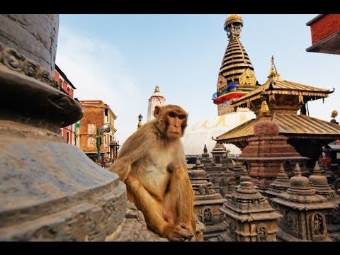 Kathmandu City Tour in one day