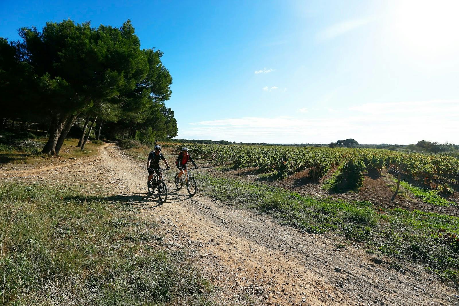Image - Languedoc ATV Evasion