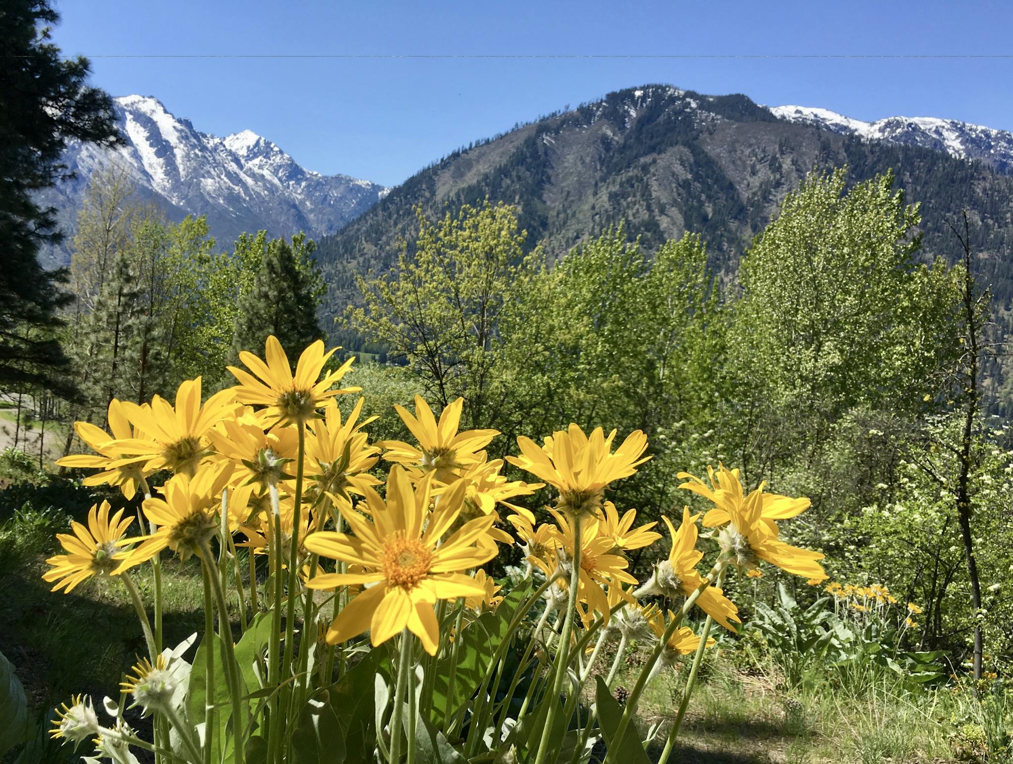 Leavenworth and the Greater Wenatchee Valley
