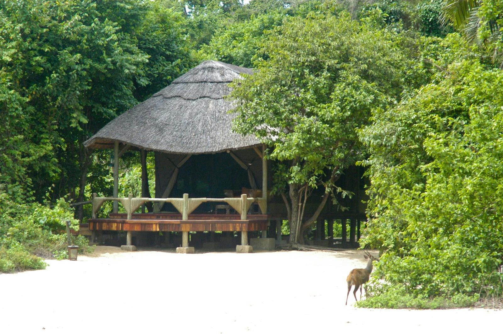 Image - Mbali Mbali Mahale Lodge