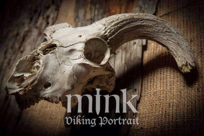 Image - Mink Viking Portrait