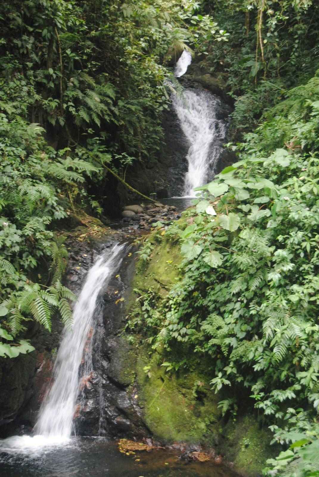 Image - Monteverde