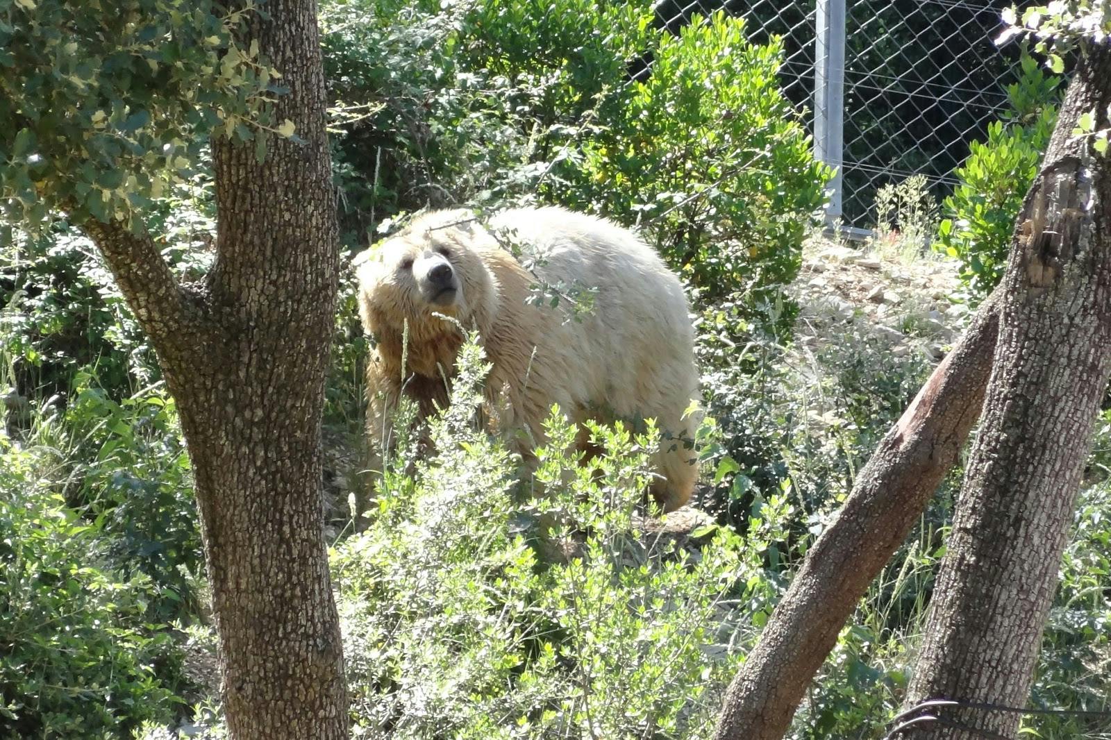 Image - Montpellier Zoological Park