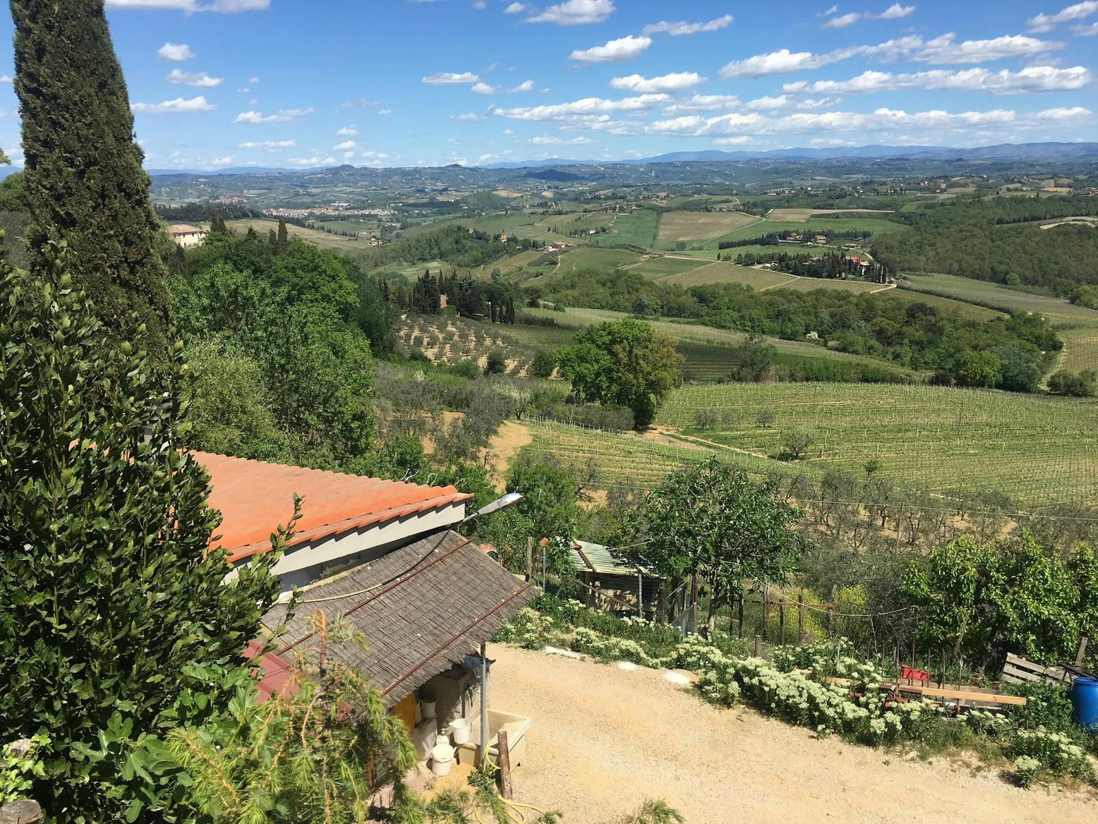 Image - My Tuscan Wine and Tours