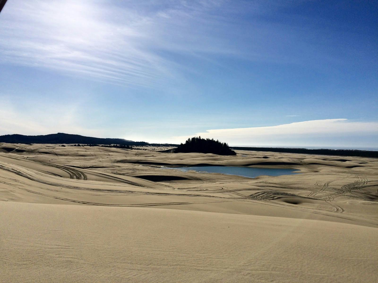 Image - Oregon Dunes National Recreation Area
