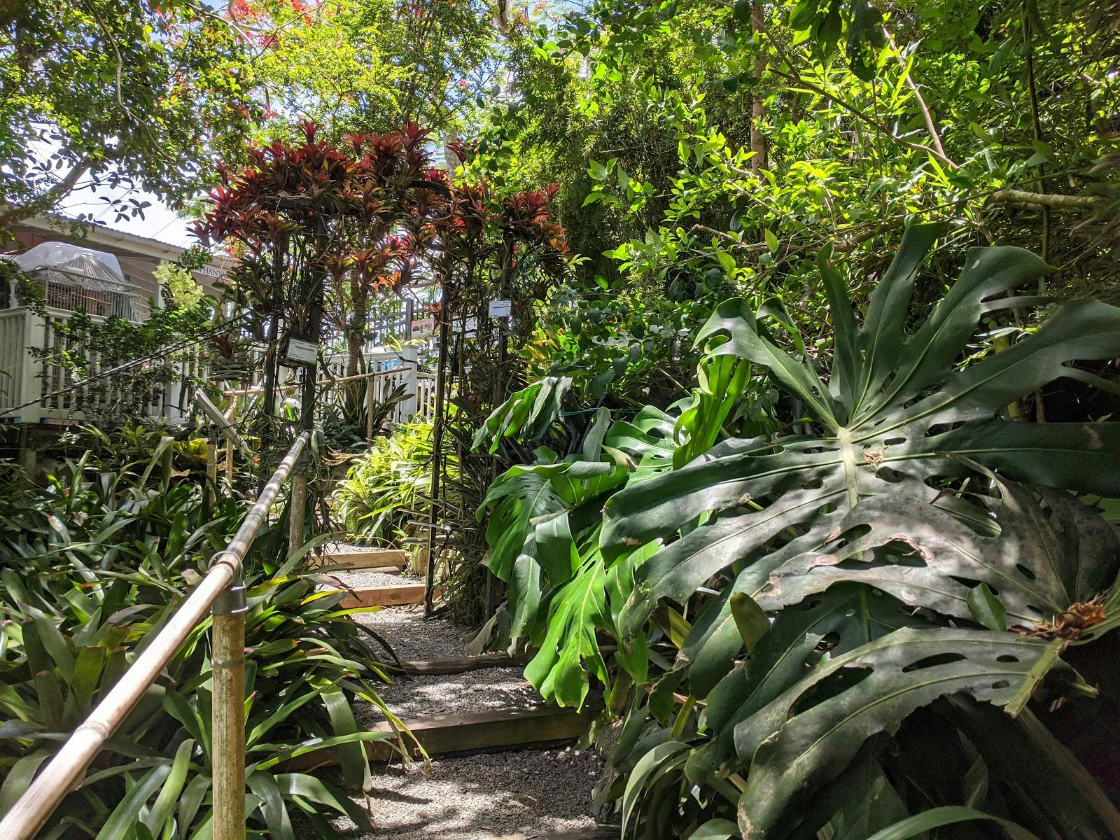 Image - Phantasea Tropical Botanical Garden