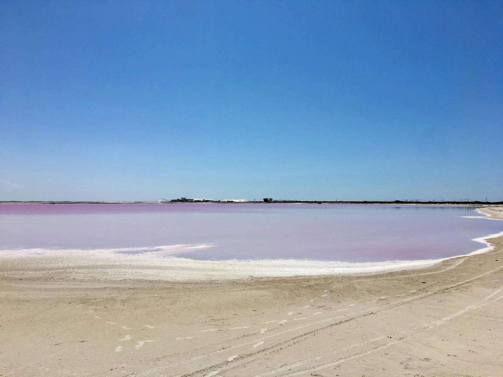 Image - Pink Lagoon Las Coloradas