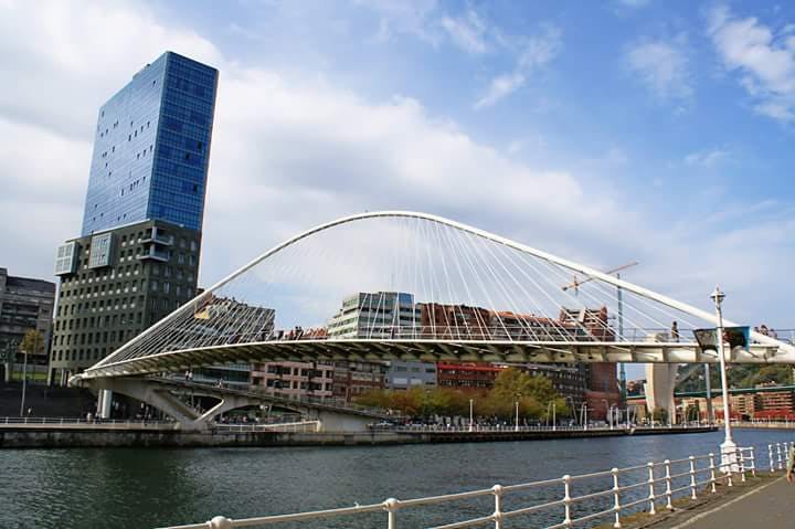 Image - Puente Zubizuri