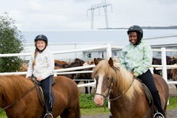 Image - Riding a Horse for the First Time in Iceland_72351