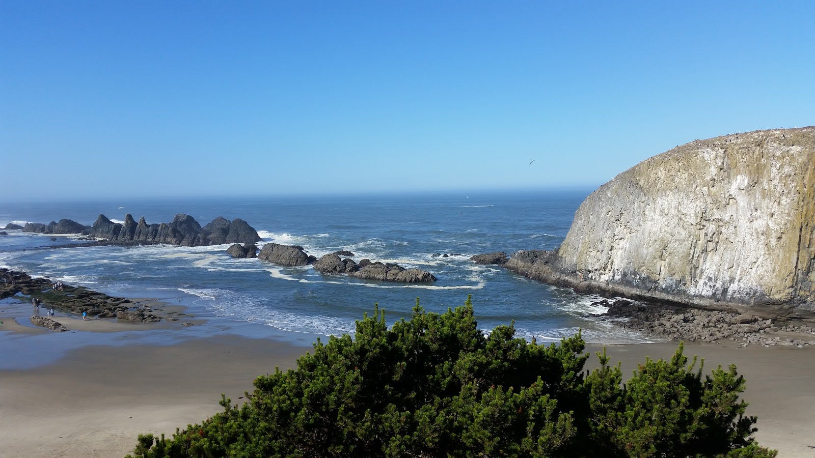 Image - Seal Rock State Recreation Site