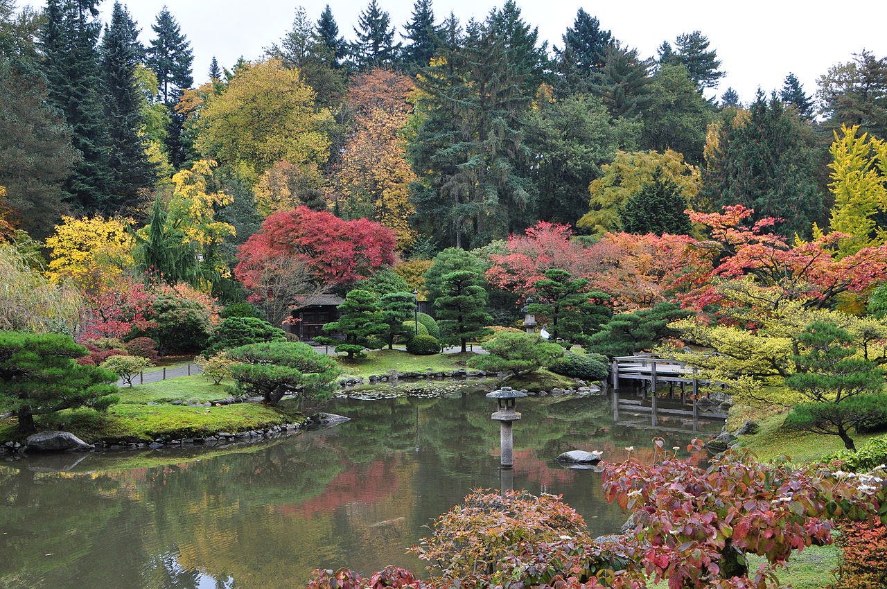 Image - Seattle Japanese Garden