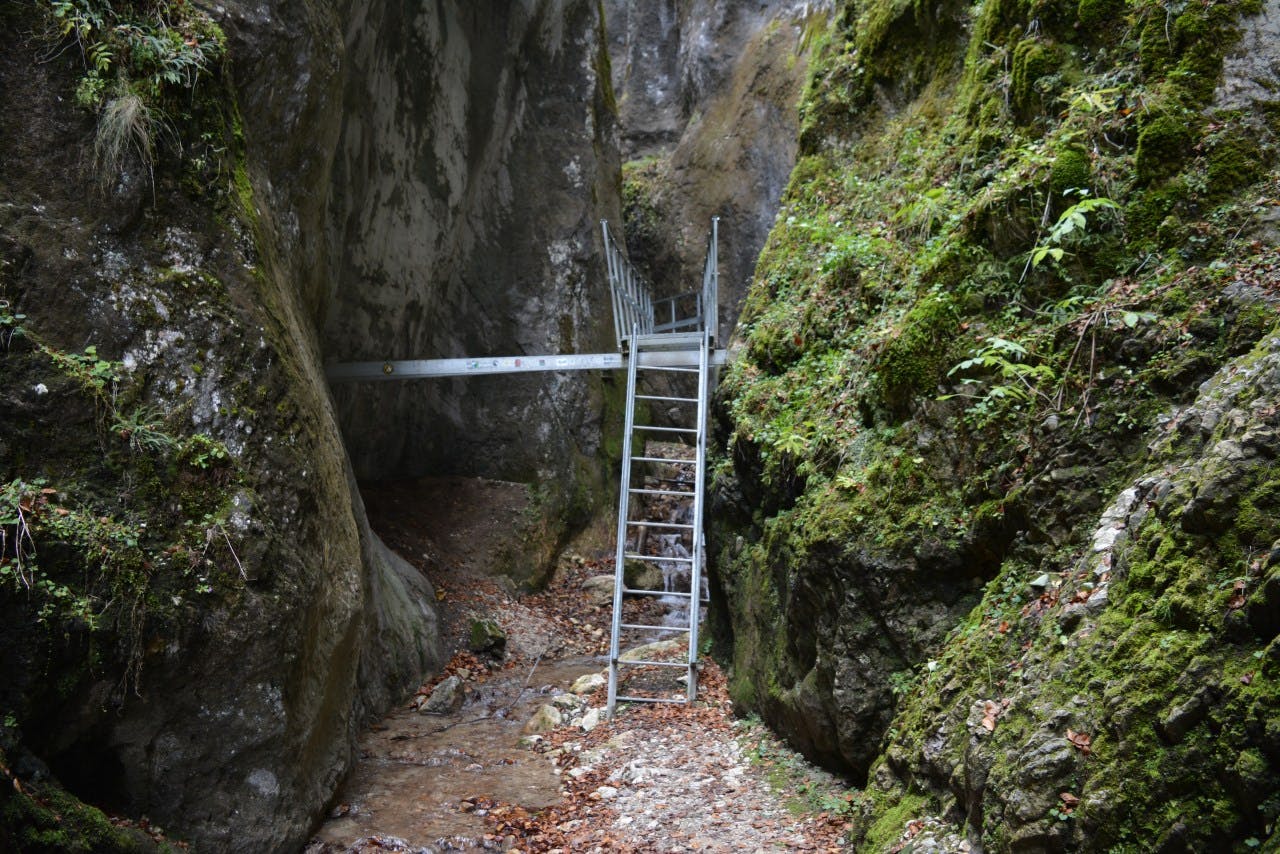 Image - Seven Ladders Canyon