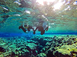 Image - Snorkel Between Continents In Silfra | Free Photos  _116049
