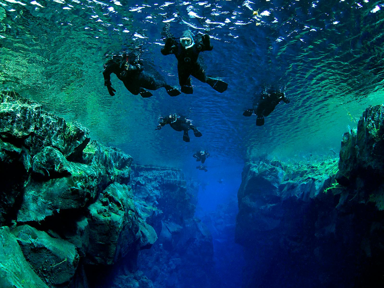 Image - Snorkeling in Silfra: In between two continents_8601