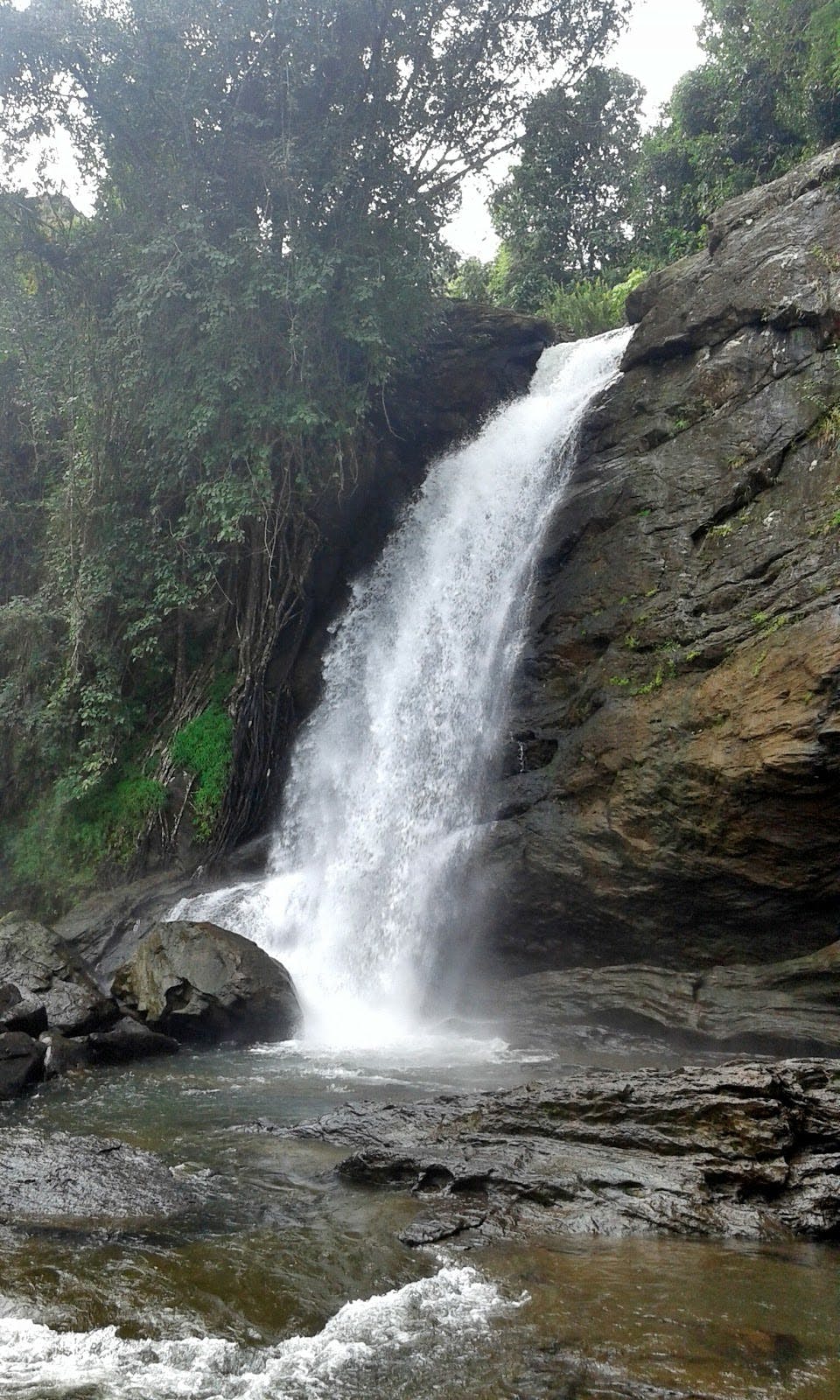 Image - Soochipara Waterfalls