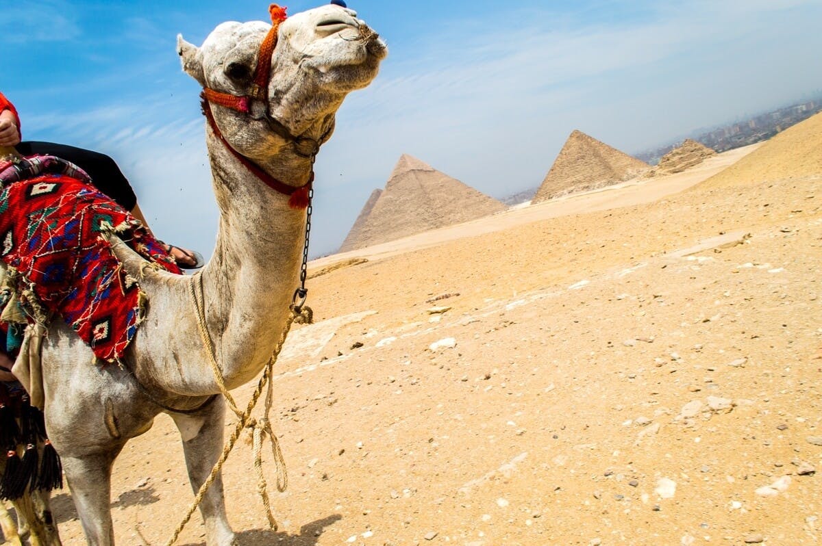 Image - Surviving Egyptian Scams At The Giza Pyramids