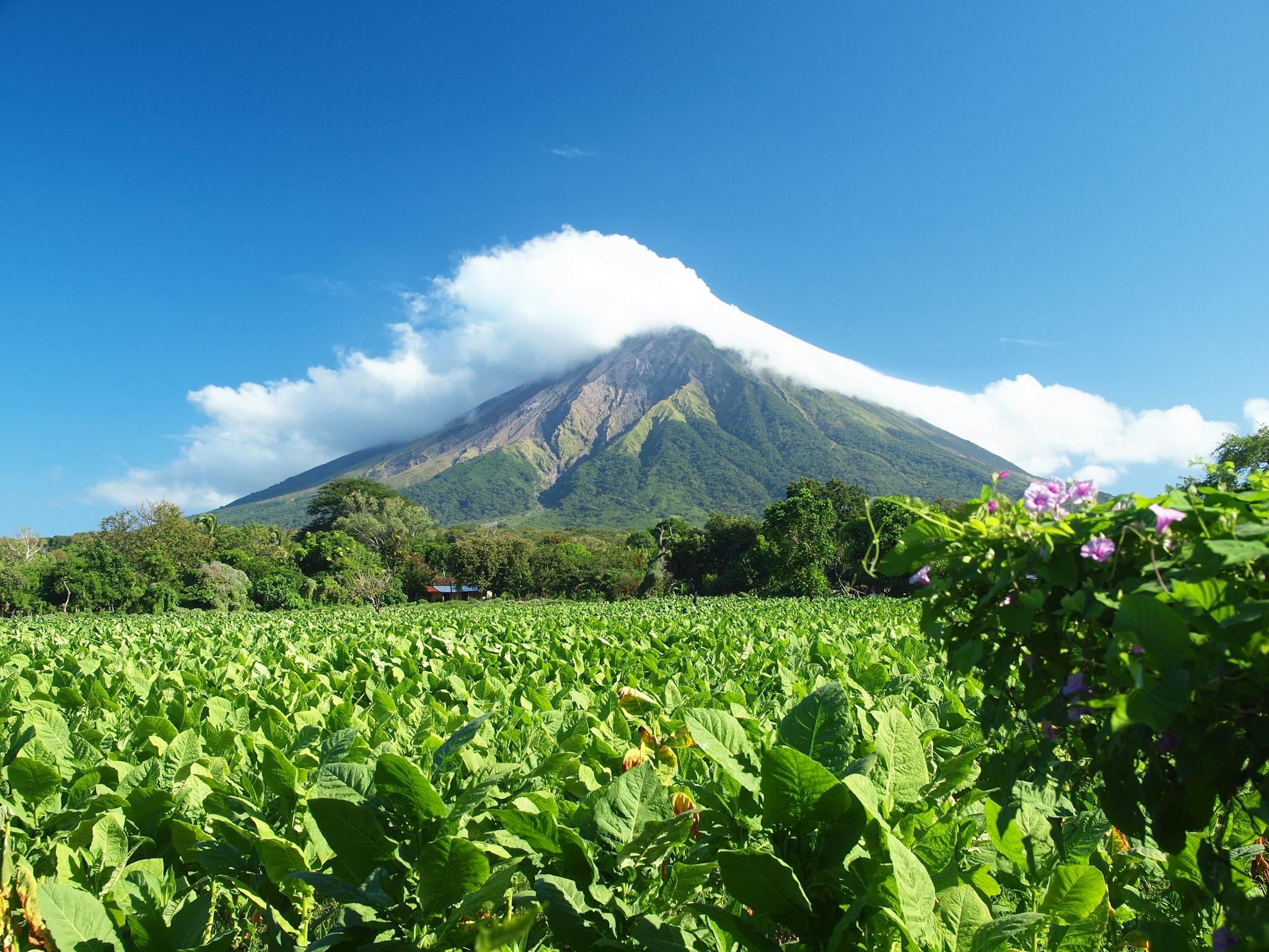 Things to do in Nicaragua