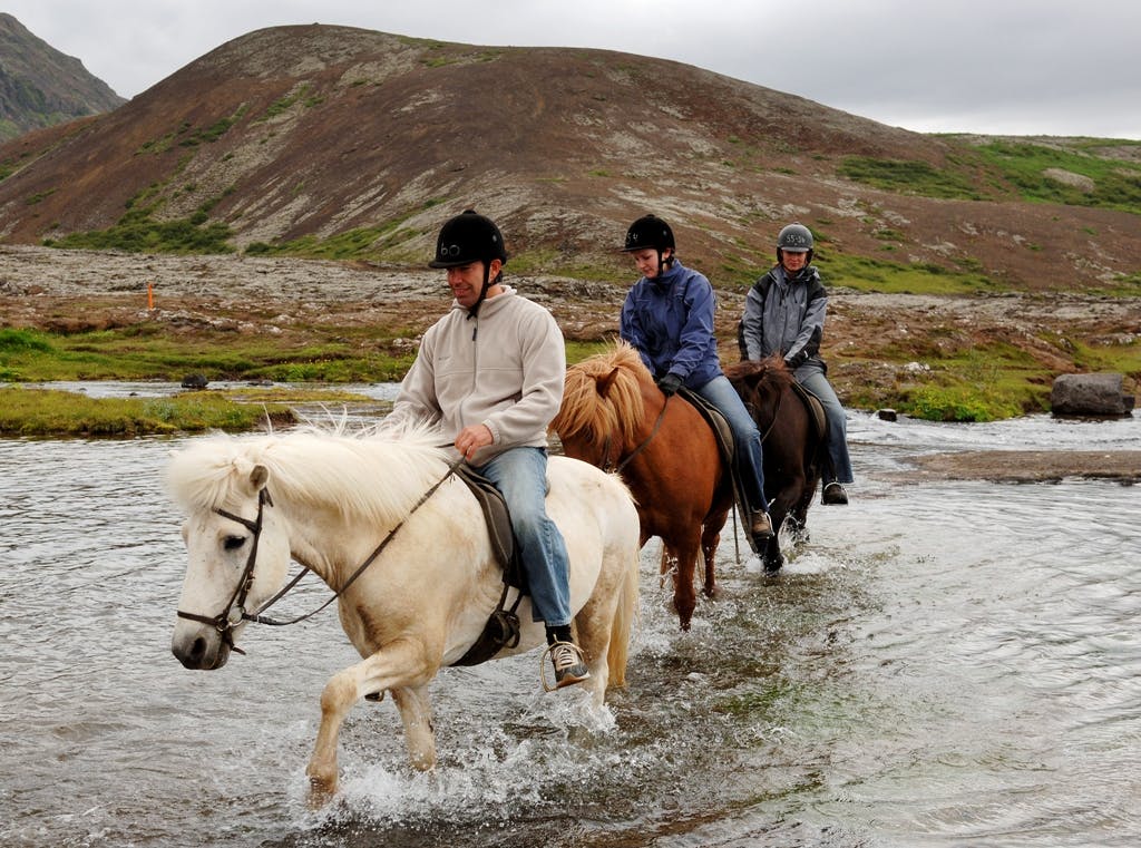 Image - Viking Express Horseback Riding Tour_9495
