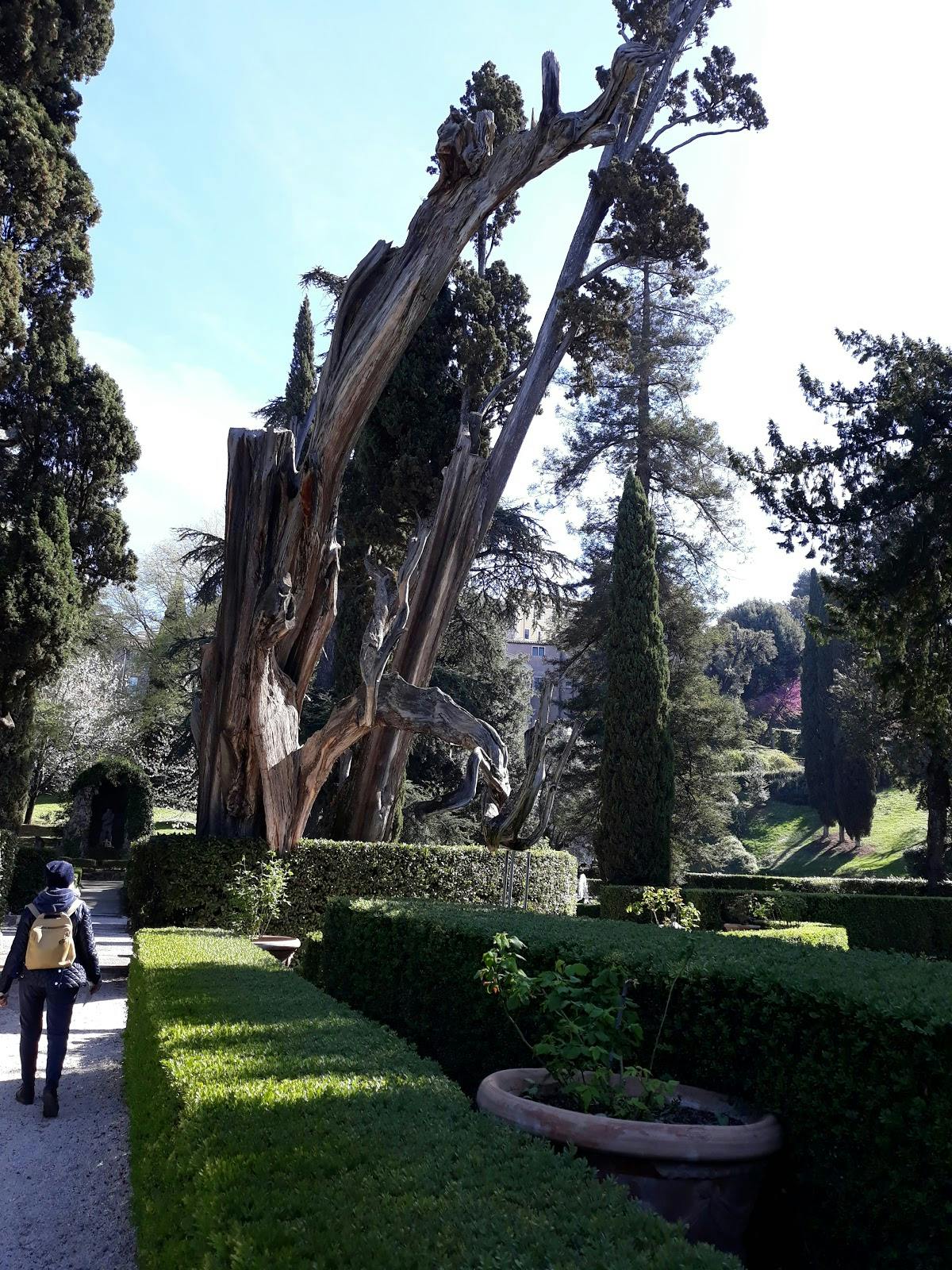 Image - Villa Adriana e Villa d'Este
