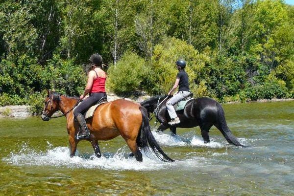 Image - Waimak River Riding Centre
