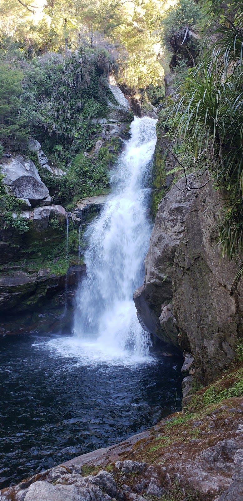 Image - Wainui Falls