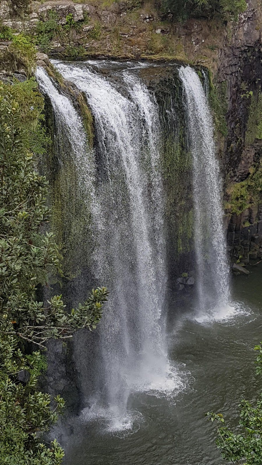 Image - Whangarei Falls Scenic Reserve