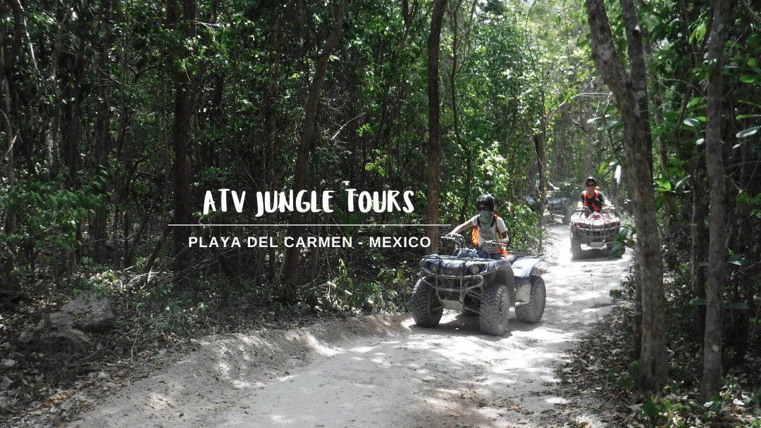 Image - Wheelie Trails ATV Jungle Tours
