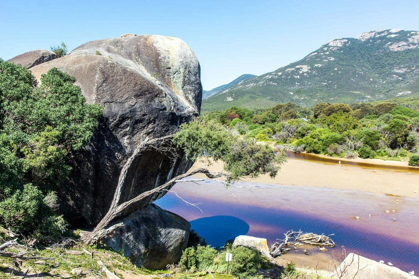 Image - Wilsons Promontory National Park