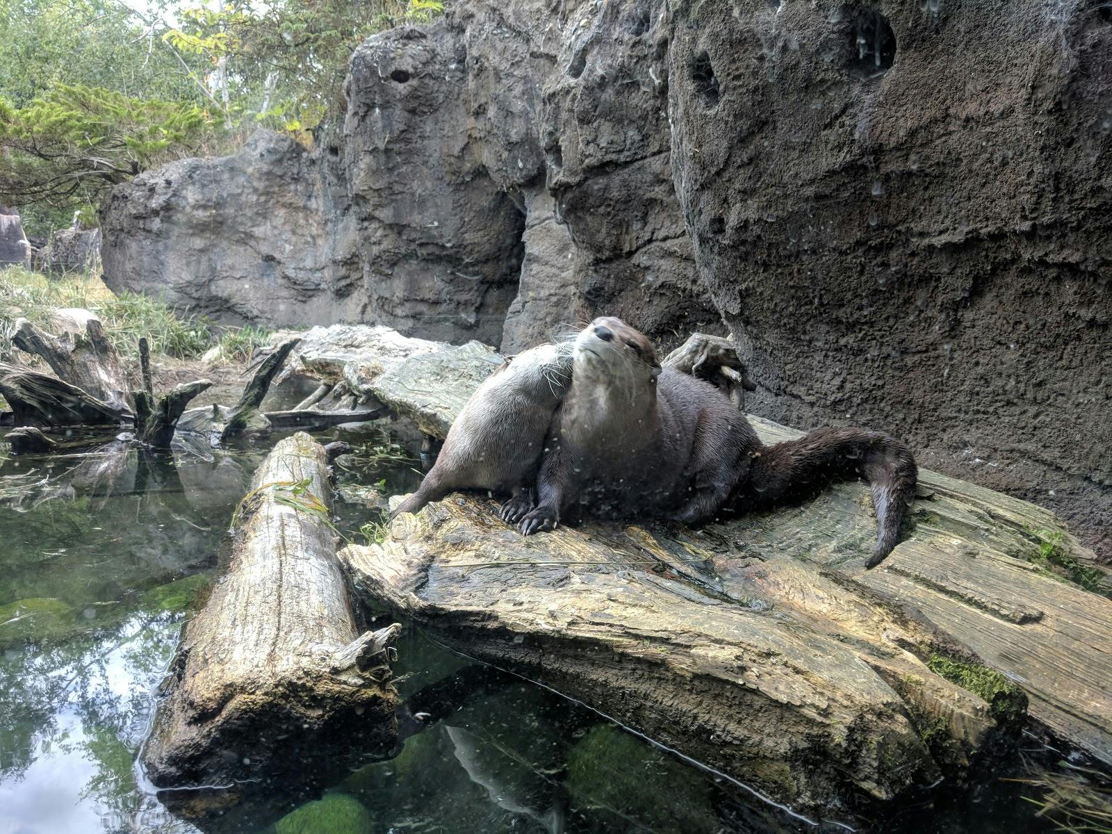 Image - Woodland Park Zoo
